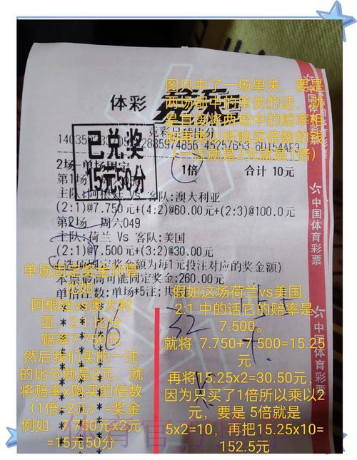 世界杯竞猜平台：专业攻略助力斩获丰厚收益